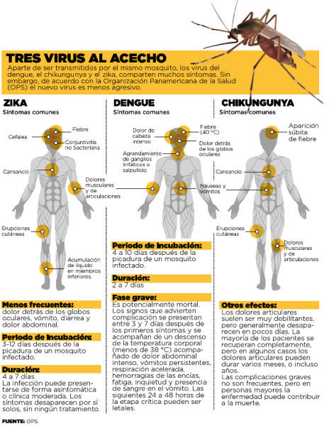 Diferencias-entre-el-virus-zika-el-dengue-y-el-chikungunya-464x600